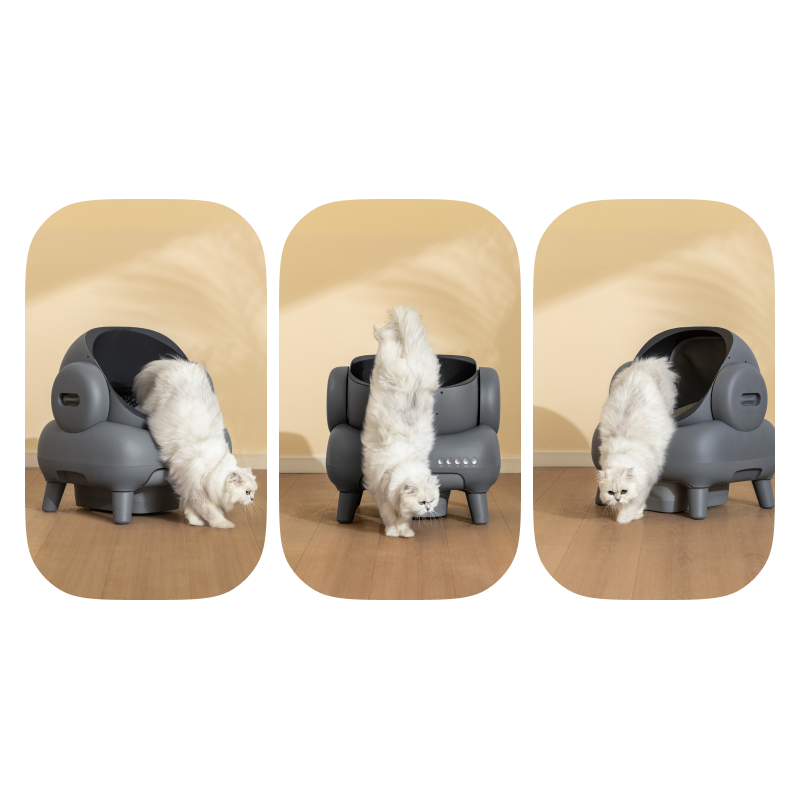 Samočistilni pametni mačji WC NEAKASA