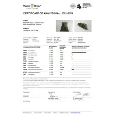 Ekološki konopljini vršički 1kg