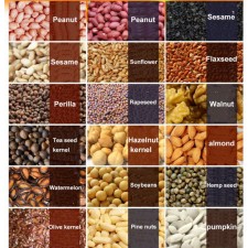 Stiskalnica za profesionalno hladno/toplo stiskanje olja, 2516 W