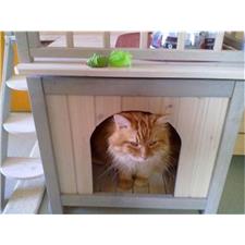 Mačja uta KITTI- hiška za mačko in manjše živali