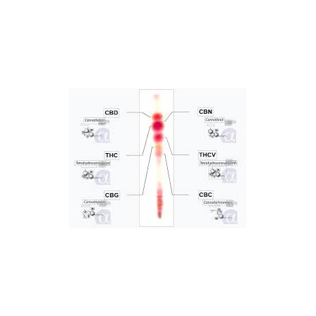 Analyse von Cannabinoiden in Harz, Paste, Öl MINI TEST KIT