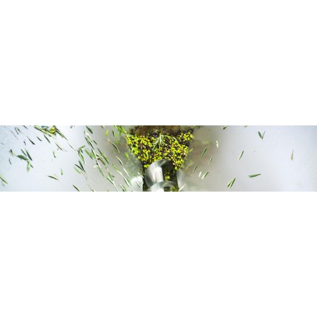 Stiskalnica za olive Miniolive 50 prof