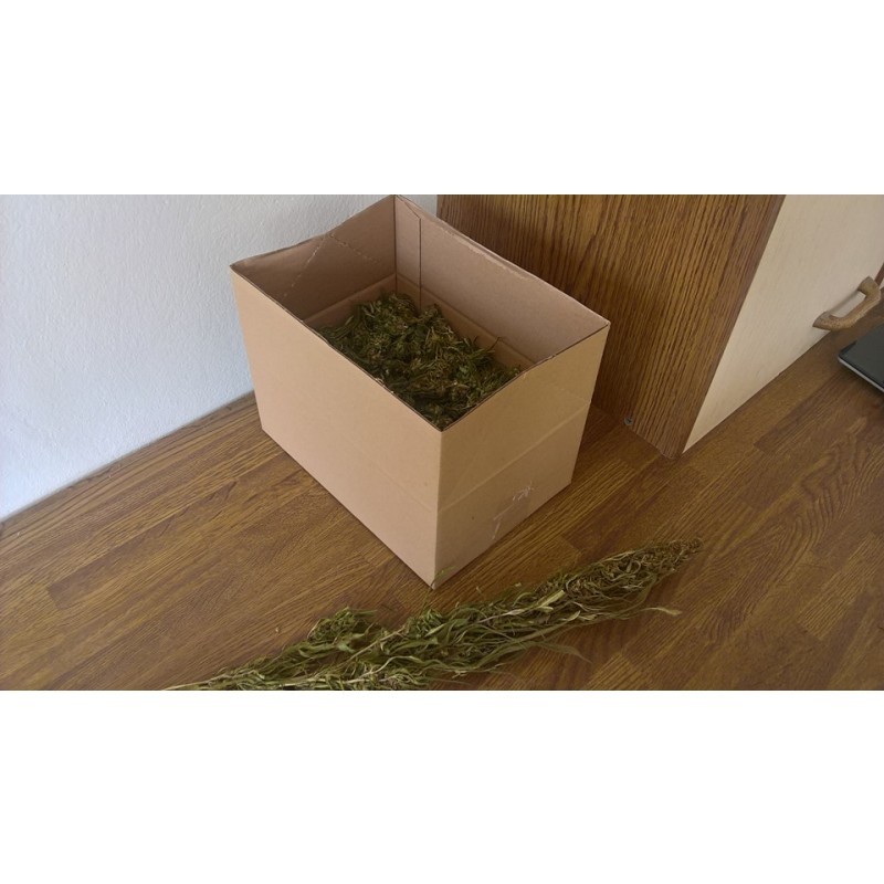 Cannabis-Paket gegen Schlaflosigkeit